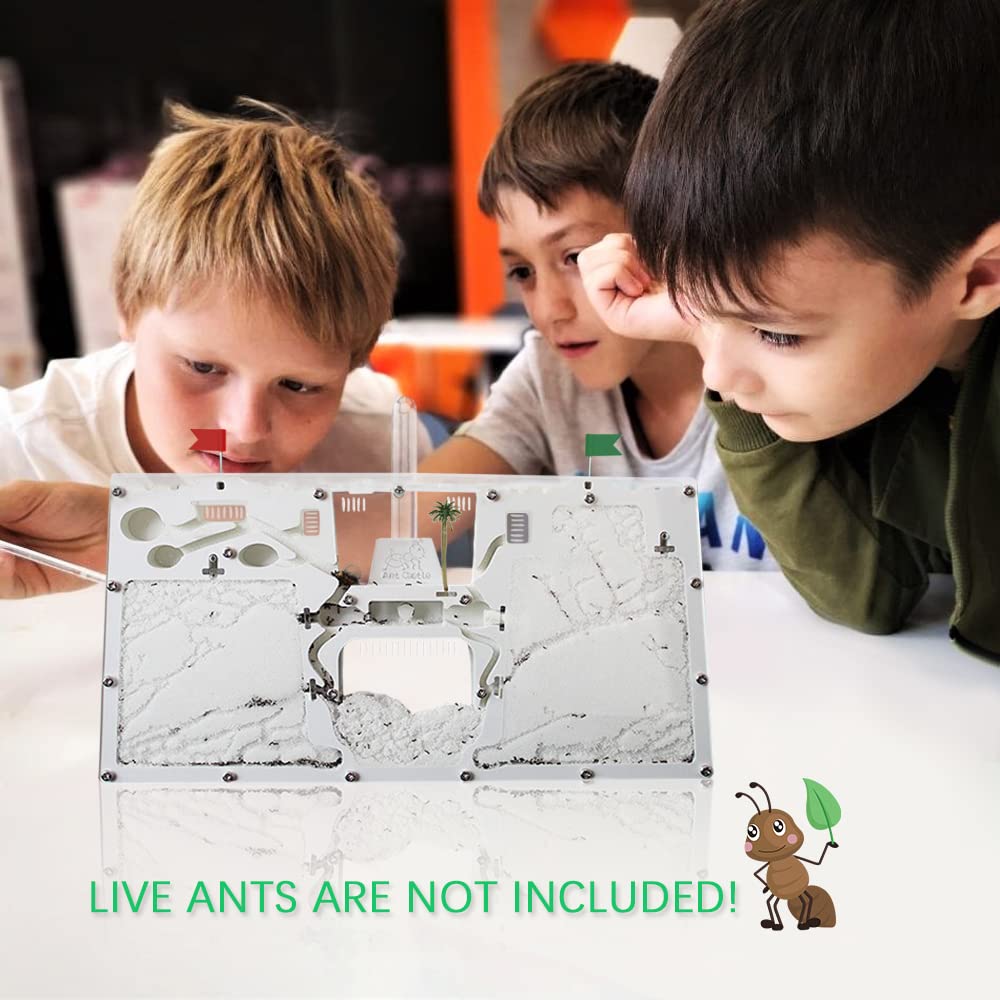 ELNMLHT ELNMLHT Ant Farm Castle Live Ant Habitat and Observation Kit for Kids and Students Educational Fun Science Activity - View 6 of 6