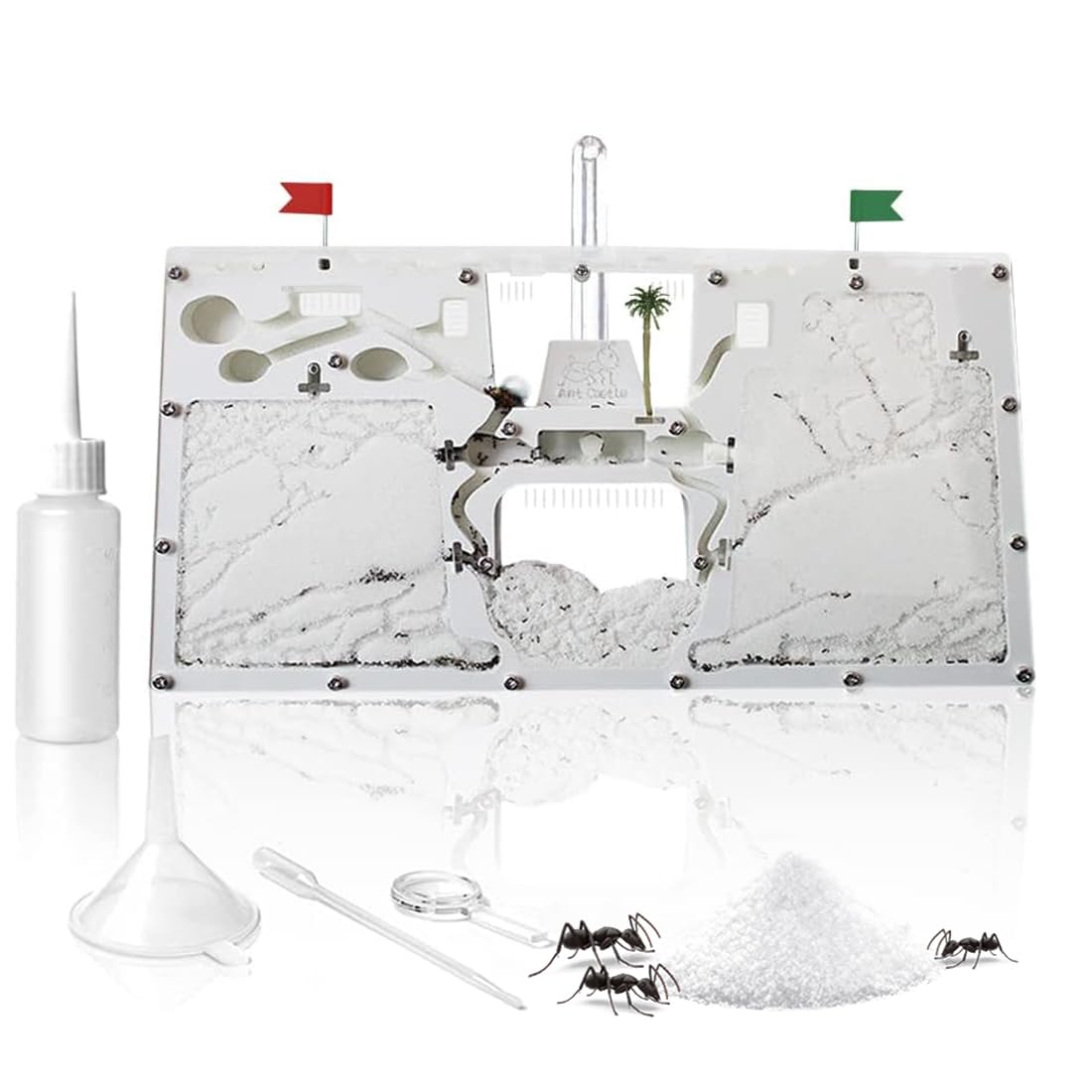 ELNMLHT ELNMLHT Ant Farm Castle Live Ant Habitat and Observation Kit for Kids and Students Educational Fun Science Activity