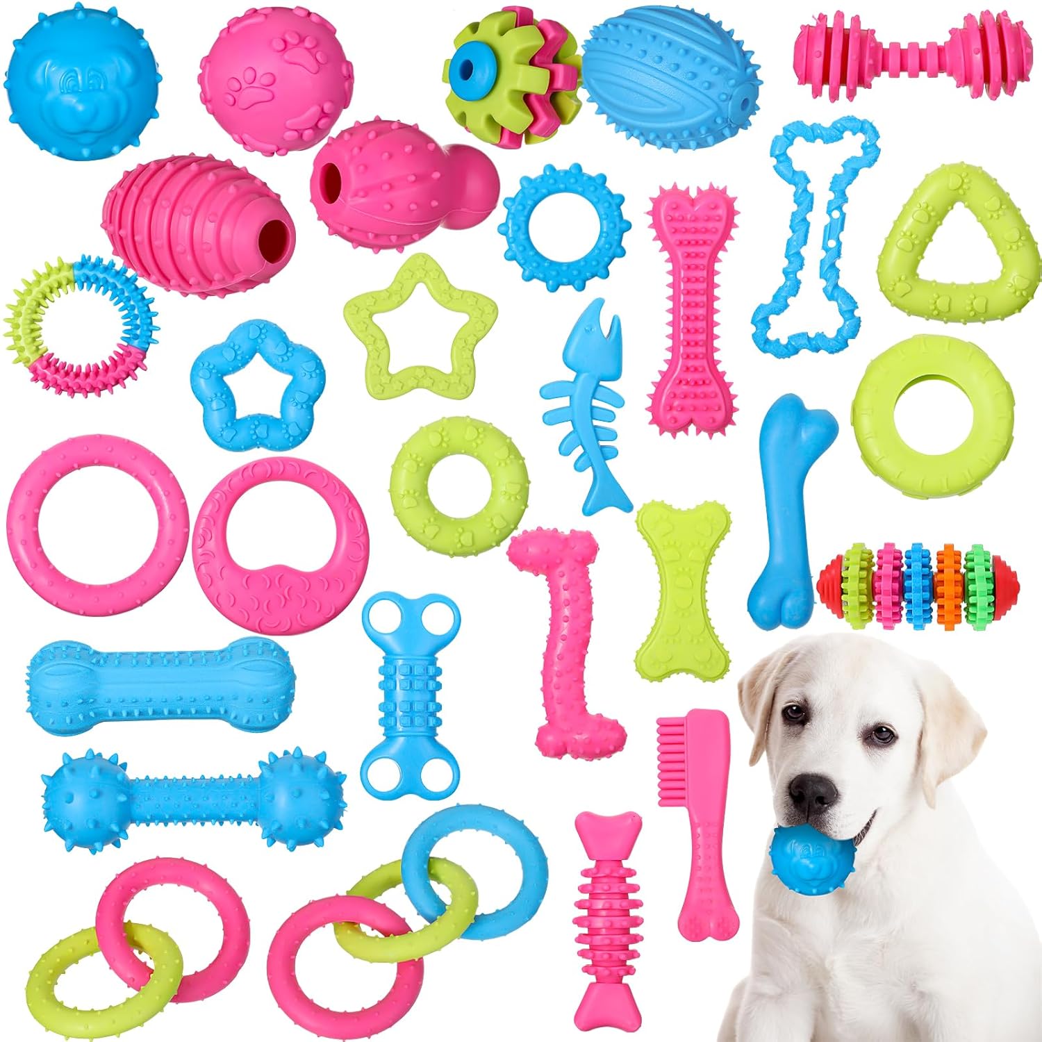 Sanwuta 30pcs Puppy Toy Set Durable Chew Toys for Small Dogs Interactive Teething Toys for Outdoor Play