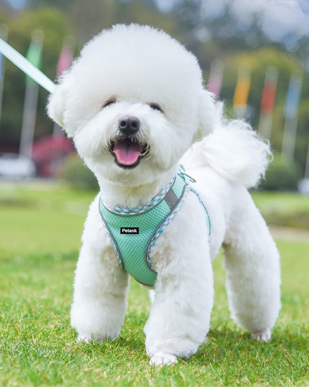 Petank Petank Dog Harness No Pull for Small Medium Dogs Easy Walk Leash Set for Training Running Green XXS - View 2 of 9