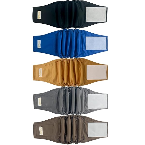 BLIWINPT BLIWINPT Reusable Male Dog Diapers High Absorbency Washable Belly Bands 5 Pack for 11 to 14 Inch Waists