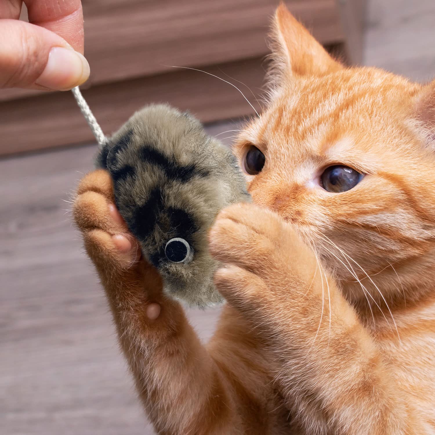 URMYONLY URMYONLY Interactive Cat Toys for Indoor Cats with Catnip Feathers and Mouse 3 Pack - View 8 of 8