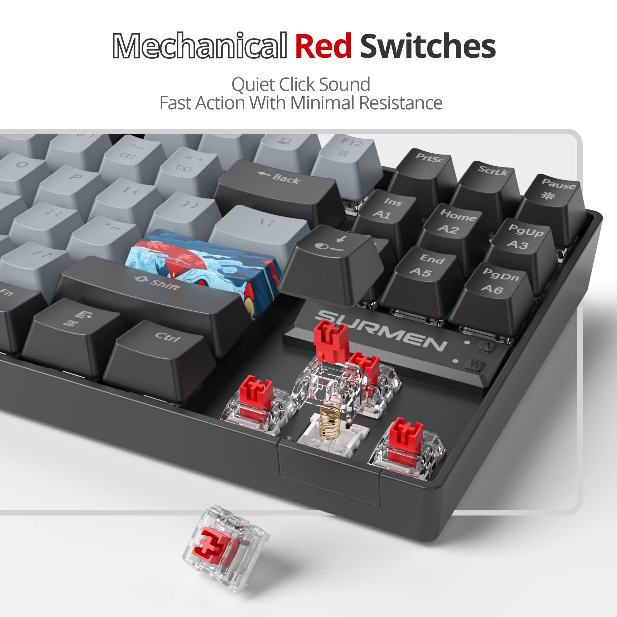 Owpkeenthy 75% Mechanical Gaming Keyboard with Red Switch, RGB Backlit Keyboard, 87 Keys Compact TKL Wired Computer Keyboards for Laptop PC Gamer - View 4 of 8