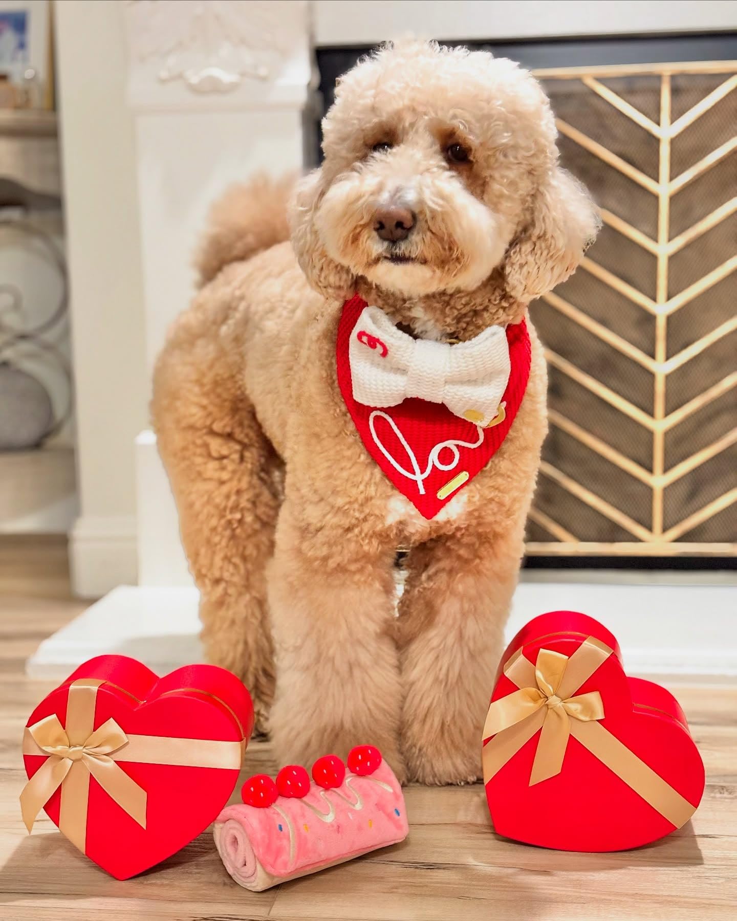 CHEWFFON CHEWFFON Dog Enrichment Toys Interactive Puzzle and Snuffle Mat for Boredom Relief and Slow Feeding for Small and Medium Dogs - View 6 of 7