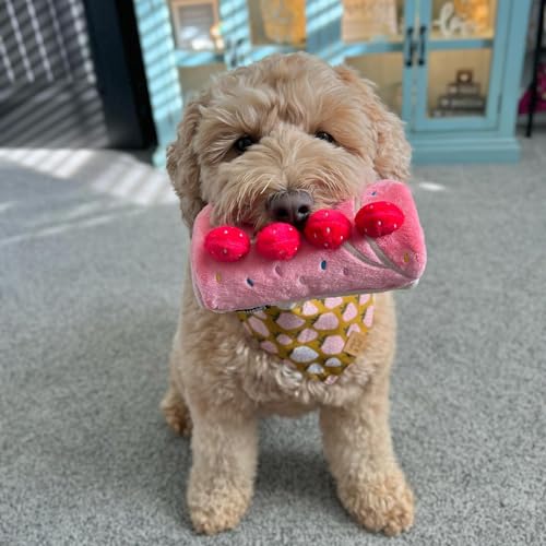 CHEWFFON CHEWFFON Dog Enrichment Toys Interactive Puzzle and Snuffle Mat for Boredom Relief and Slow Feeding for Small and Medium Dogs - View 7 of 7