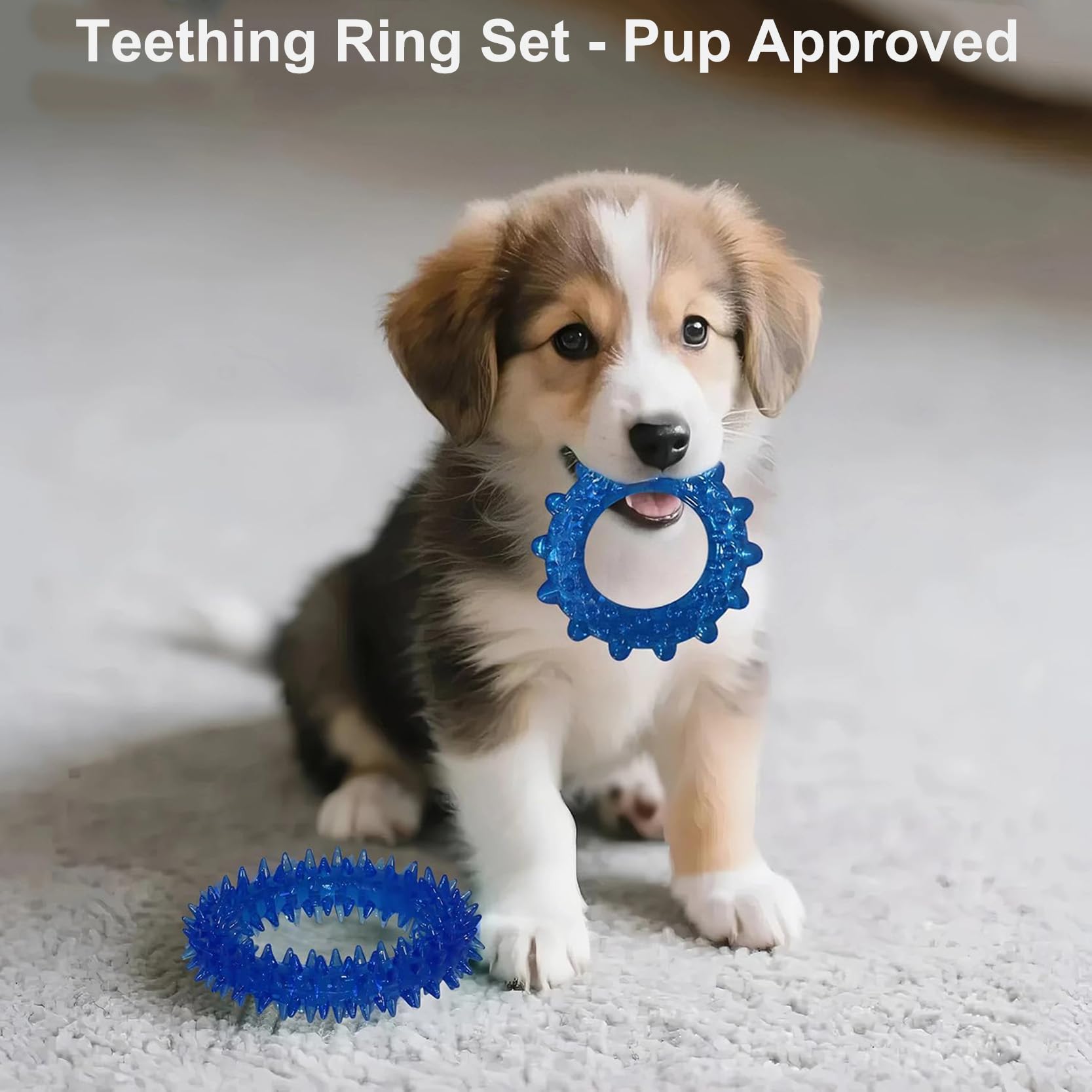 PawsAion PawsAion 20 Pack Puppy Toys Set Interactive Chew Toys for Teething Small Breeds Tough Rope and Soft Rubber Bundle - View 6 of 7