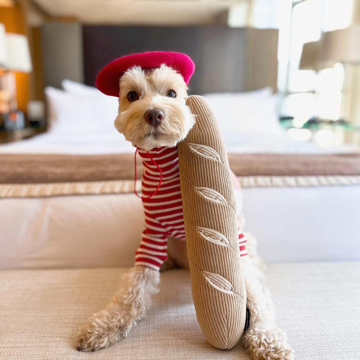 CHEWFFON CHEWFFON Interactive Dog Puzzle Toys for Stress Relief and Foraging Fun for Small Medium and Large Dogs - View 5 of 6