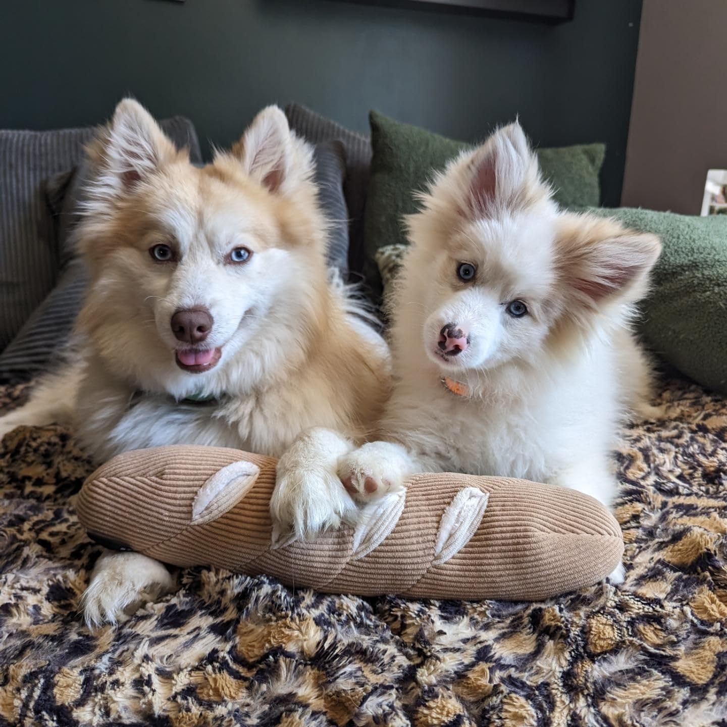 CHEWFFON CHEWFFON Interactive Dog Puzzle Toys for Stress Relief and Foraging Fun for Small Medium and Large Dogs - View 6 of 6