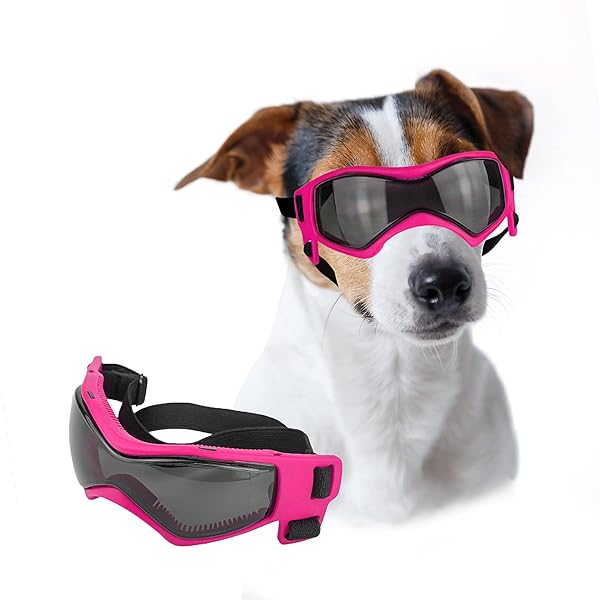 LESYPET Lesypet Dog Goggles for Small Breeds UV and Wind Protection Outdoor Sunglasses for Dogs