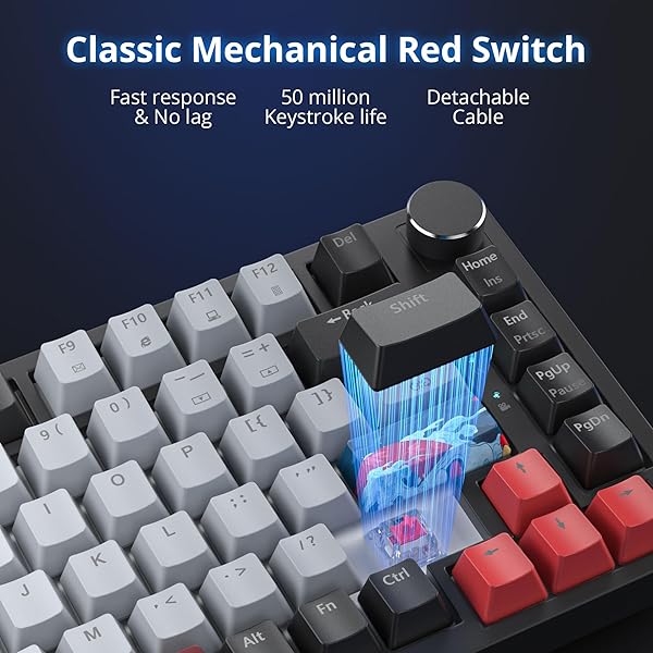 Fogruaden Fogruaden Wired 75 Percent Mechanical Keyboard Hot Swappable Gasket Mount RGB Backlit 82 Keys TKL Compact Gaming Keyboard with Knob - View 7 of 9