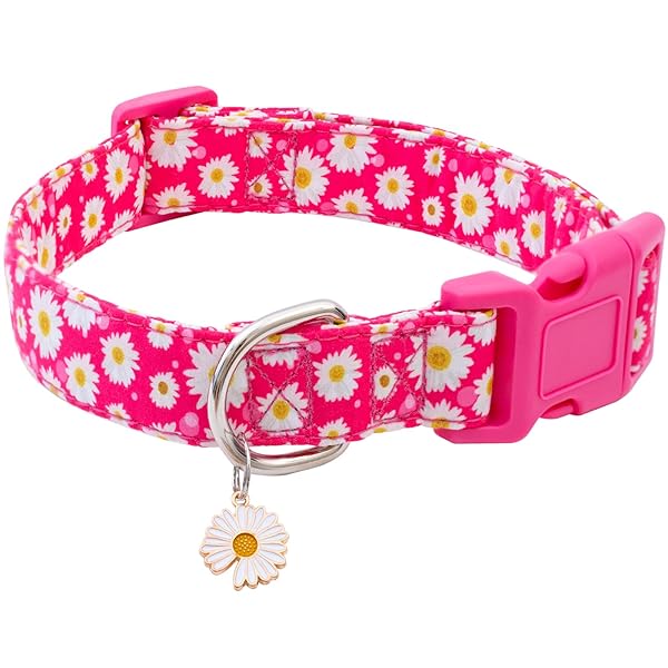 Faygarsle Faygarsle Cotton Dog Collar Cute Floral Design for Small Medium Large Dogs Soft Hot Pink Fancy Pet Collars for Girls