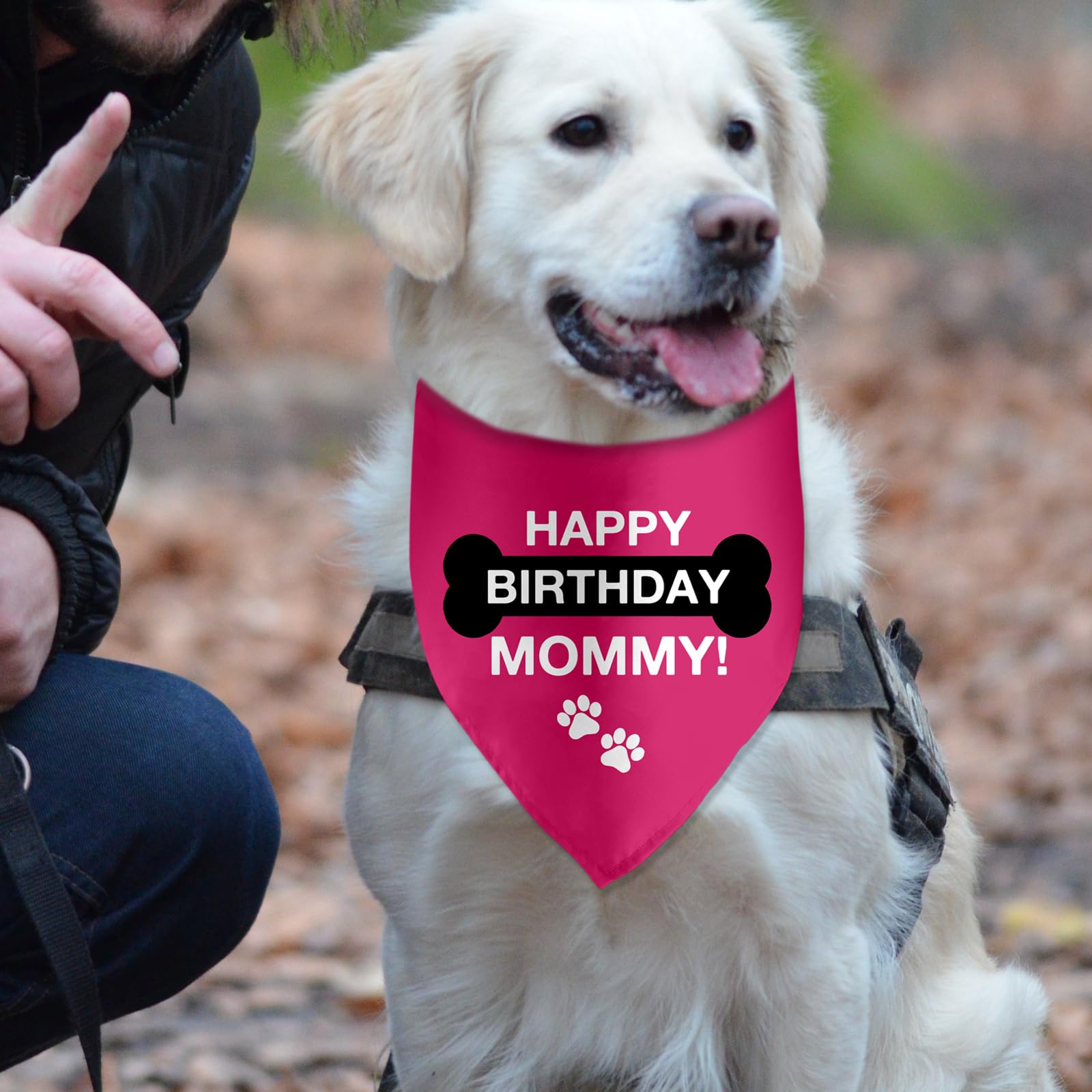 Lmaurrizt Happy Birthday Mommy Dog Bandana Triangle Scarf for Dogs Pet Accessories Perfect for Dog Lovers and Dog Moms - View 2 of 6