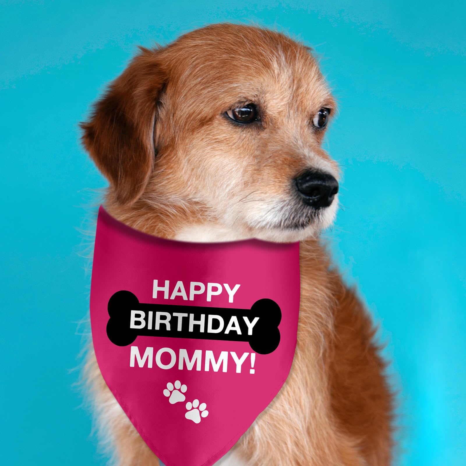 Lmaurrizt Happy Birthday Mommy Dog Bandana Triangle Scarf for Dogs Pet Accessories Perfect for Dog Lovers and Dog Moms - View 3 of 6