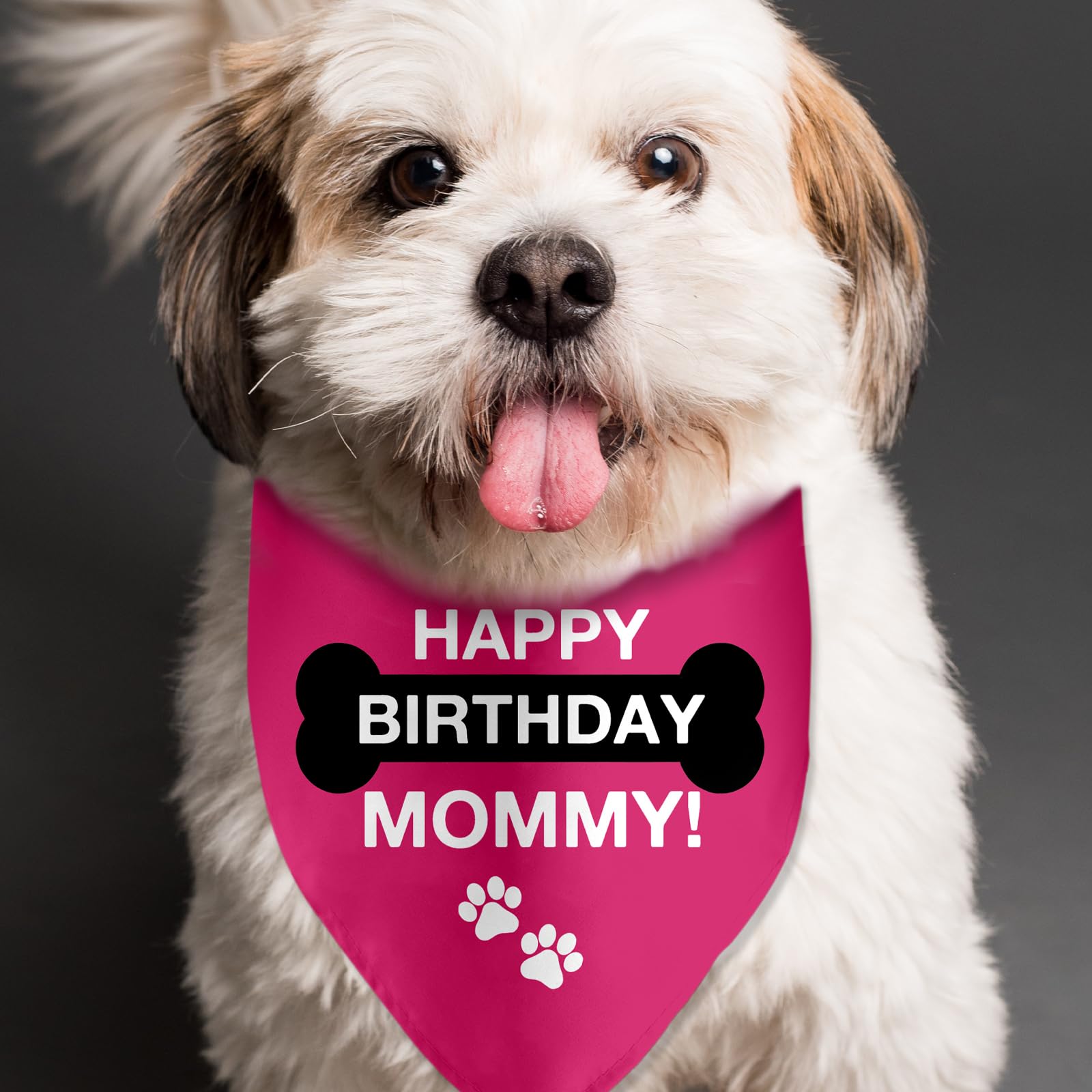 Lmaurrizt Happy Birthday Mommy Dog Bandana Triangle Scarf for Dogs Pet Accessories Perfect for Dog Lovers and Dog Moms - View 4 of 6
