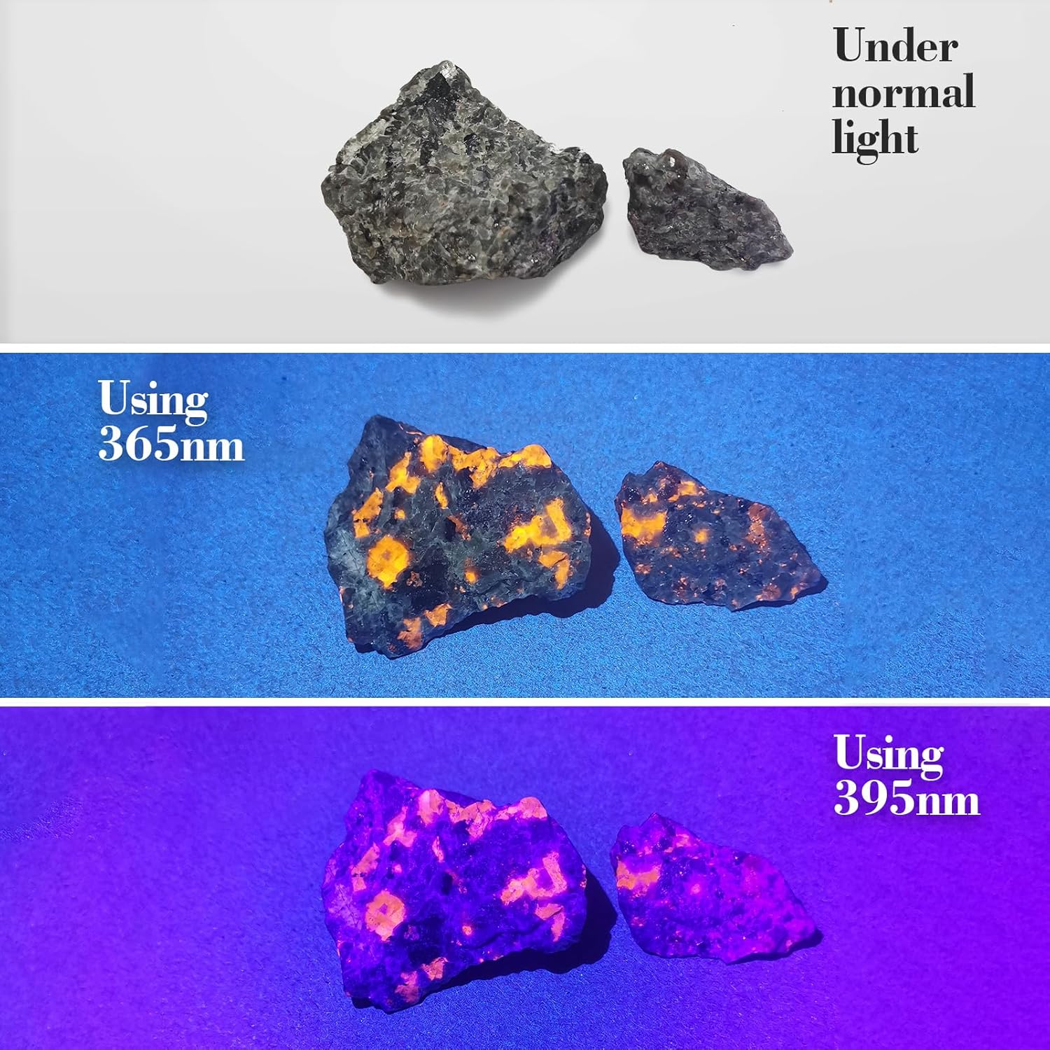 TNATRA TNATRA UV Flashlight 365nm 395nm Portable Zoomable LED for UV Glue Curing Pet Stain Detection Rocks Minerals Hunting Scorpion Finder - View 3 of 6