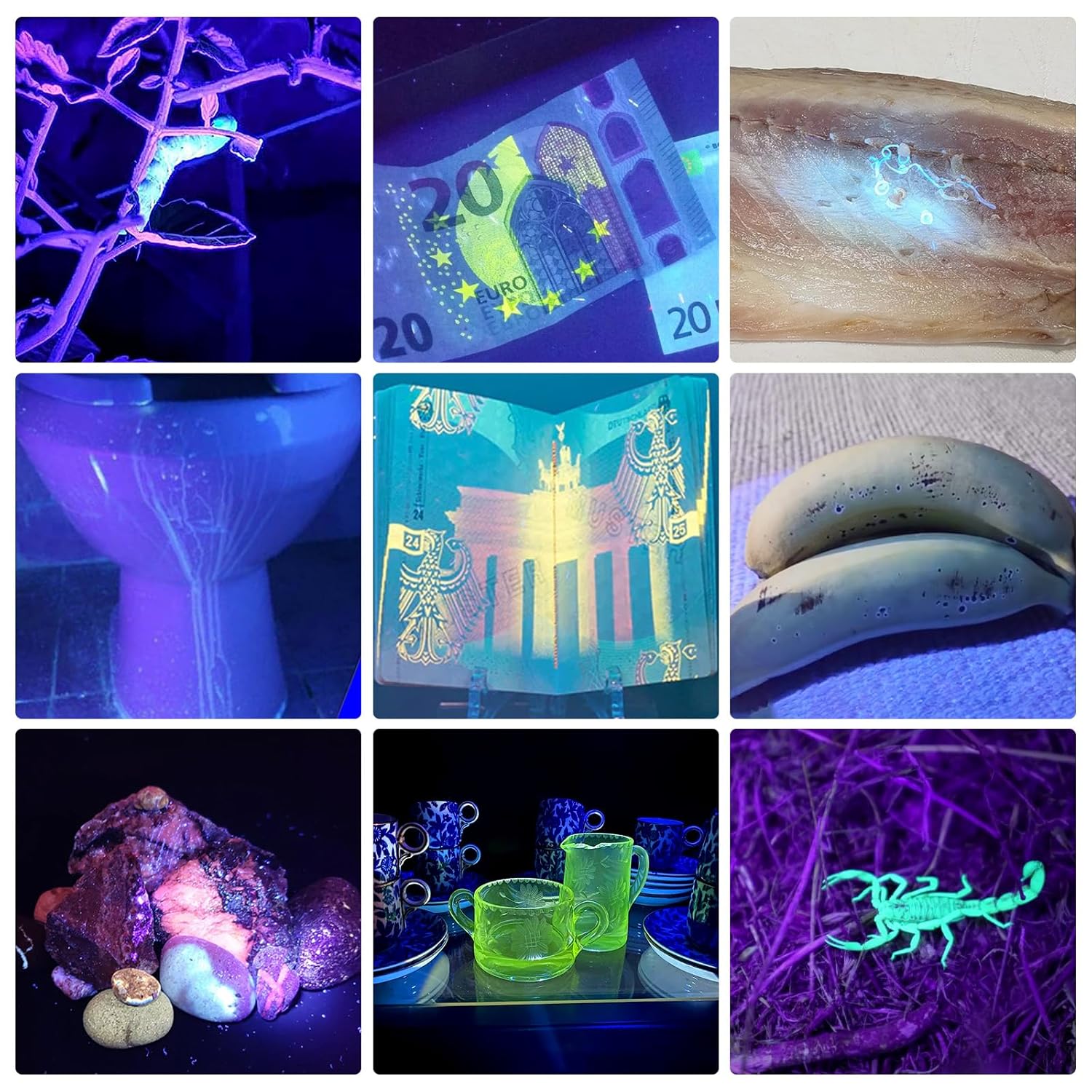 TNATRA TNATRA UV Flashlight 365nm 395nm Portable Zoomable LED for UV Glue Curing Pet Stain Detection Rocks Minerals Hunting Scorpion Finder - View 4 of 6