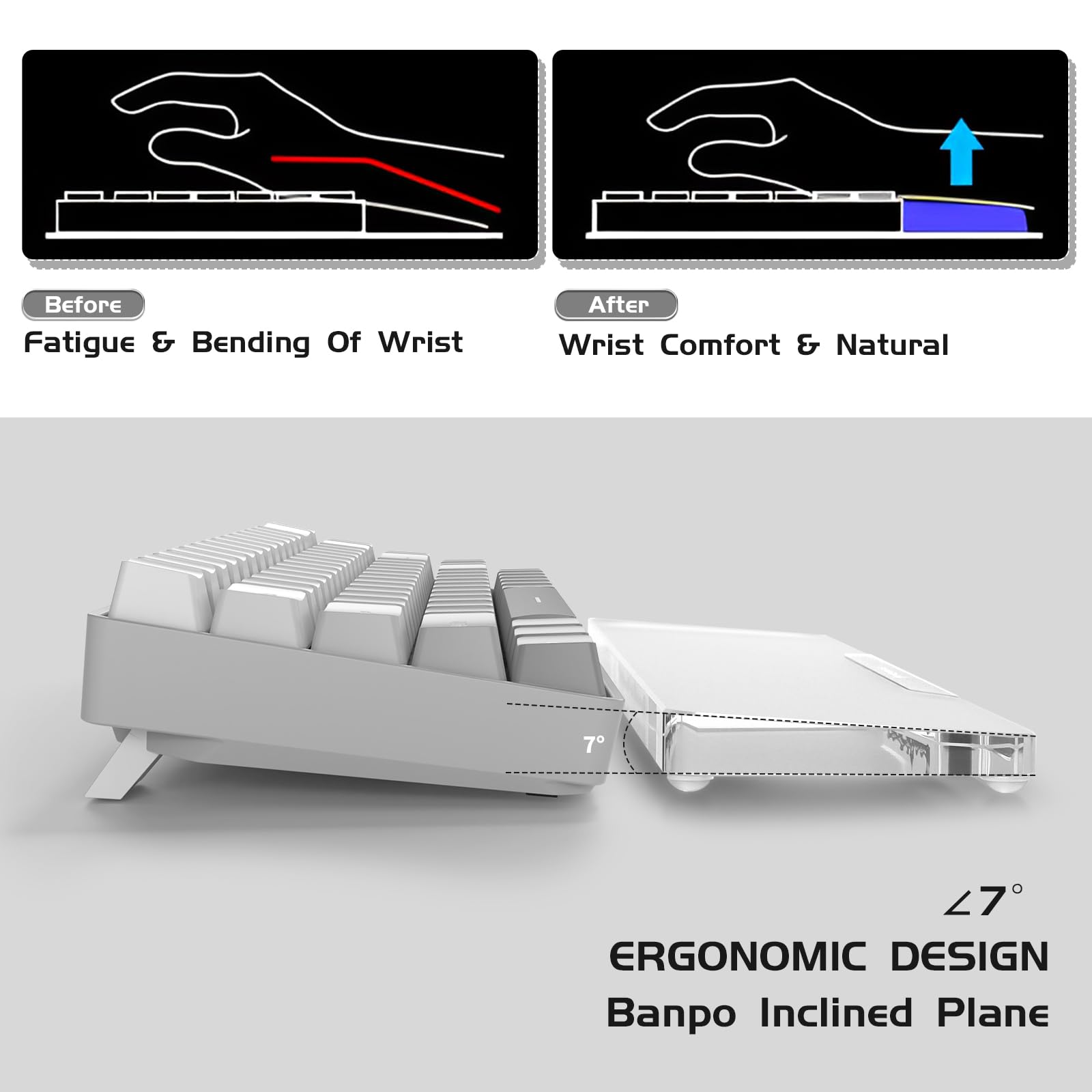 SELORSS - View 3 of 8