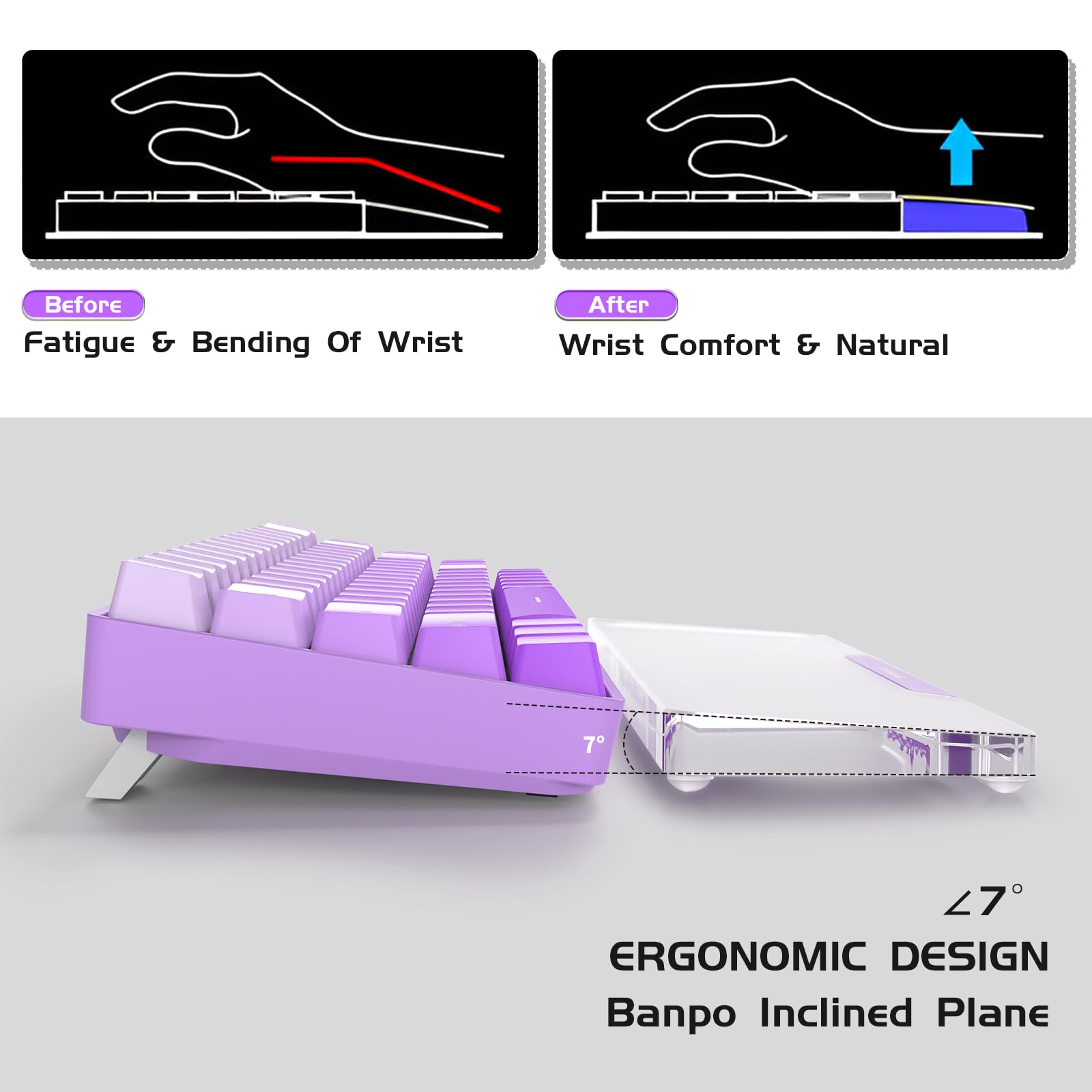 SELORSS - View 3 of 7