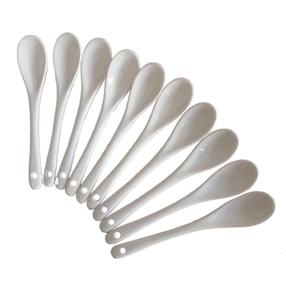 Honkenda White Ceramic Coffee Spoon Set 10 Pack 5 Inch Small Tea Spoons for Ice Cream Appetizers Desserts and Dinner Soup Kitchen Use