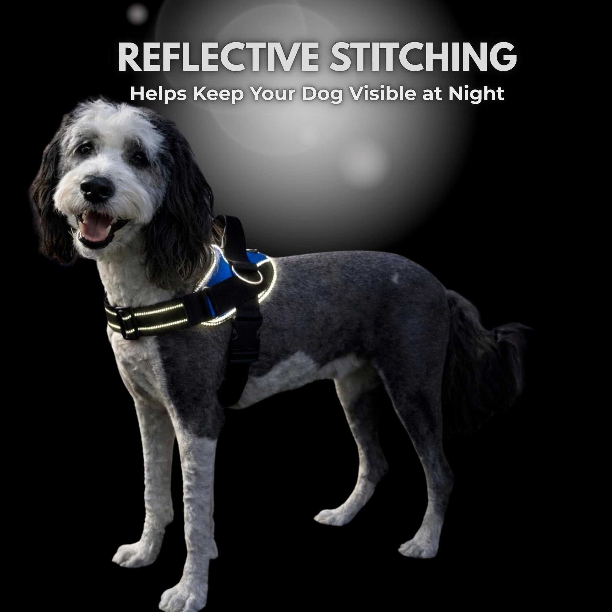 SHAWNCO ShawnCo Essential Dog Harness No Pull Vest with 3 Leash Clips Adjustable Padded Reflective for Easy Walking and Training for All Dog Sizes Orchid XL - View 7 of 9