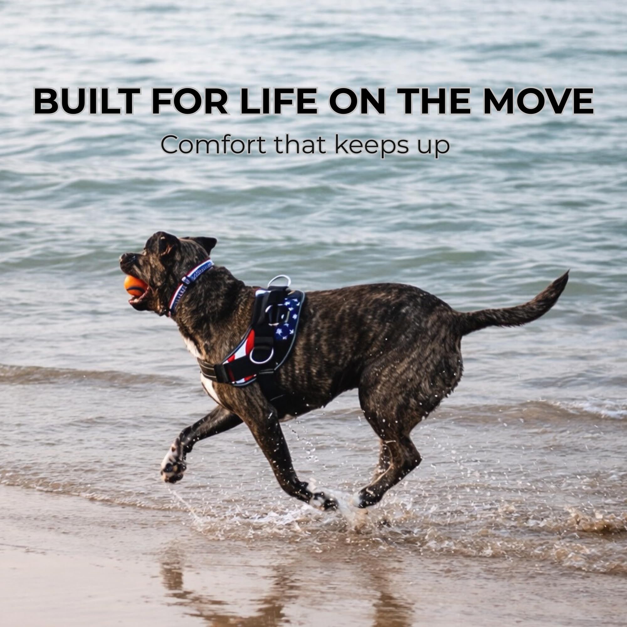 SHAWNCO ShawnCo Essential Dog Harness No Pull Vest with 3 Leash Clips Adjustable Padded Reflective for Easy Walking and Training for All Dog Sizes Orchid XL - View 8 of 9