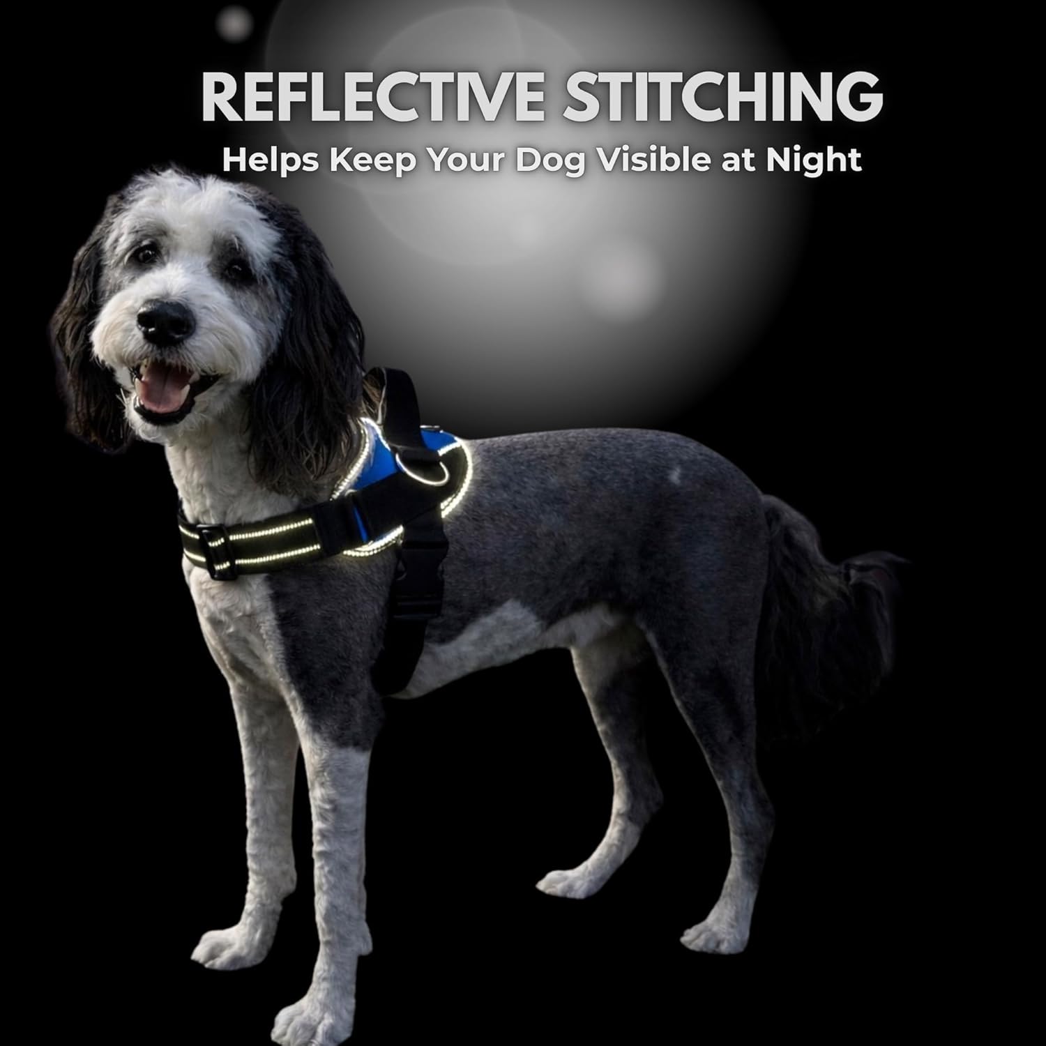 SHAWNCO ShawnCo Essential Dog Harness No Pull Vest with 3 Leash Clips Adjustable Reflective Padded for Easy Walking and Training for All Dog Sizes - View 7 of 9