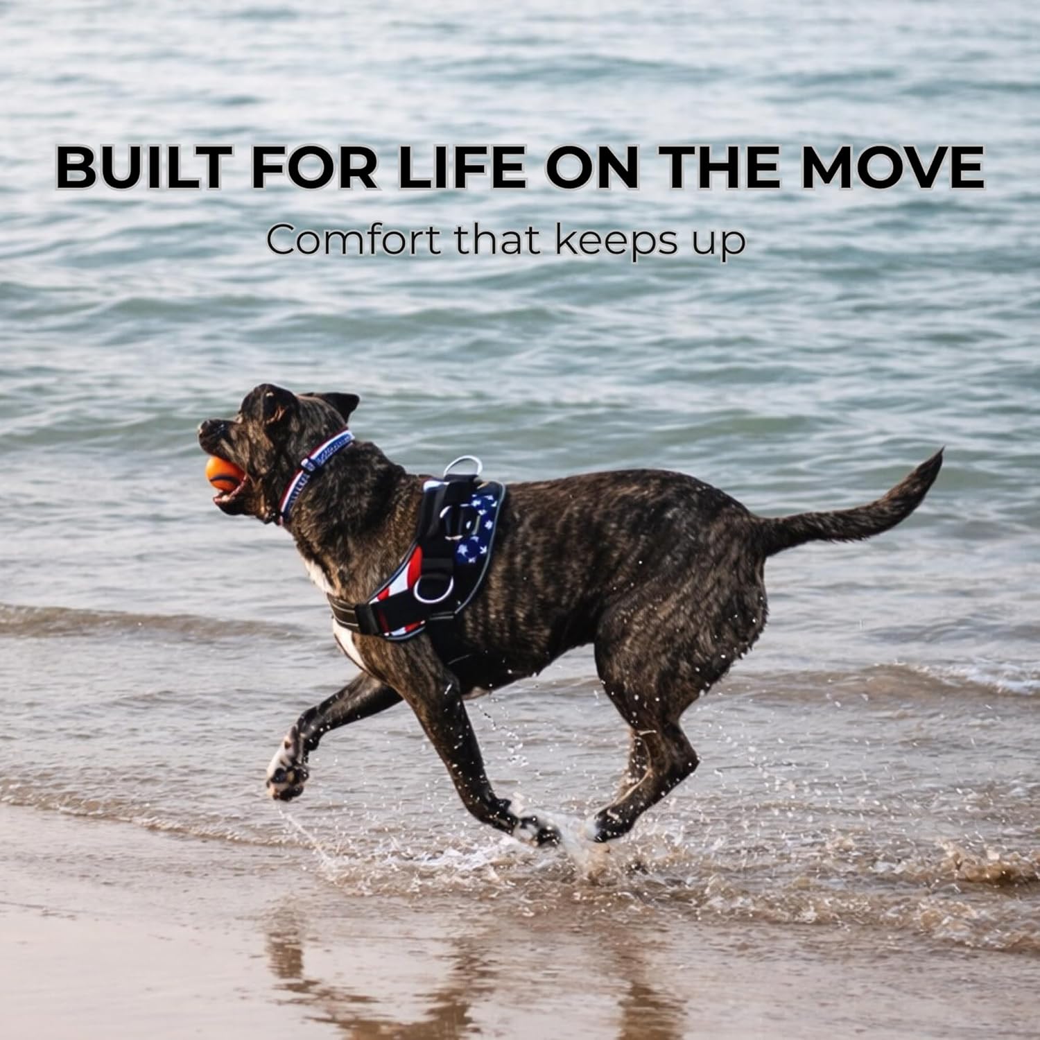 SHAWNCO ShawnCo Essential Dog Harness No Pull Vest with 3 Leash Clips Adjustable Reflective Padded for Easy Walking and Training for All Dog Sizes - View 8 of 9