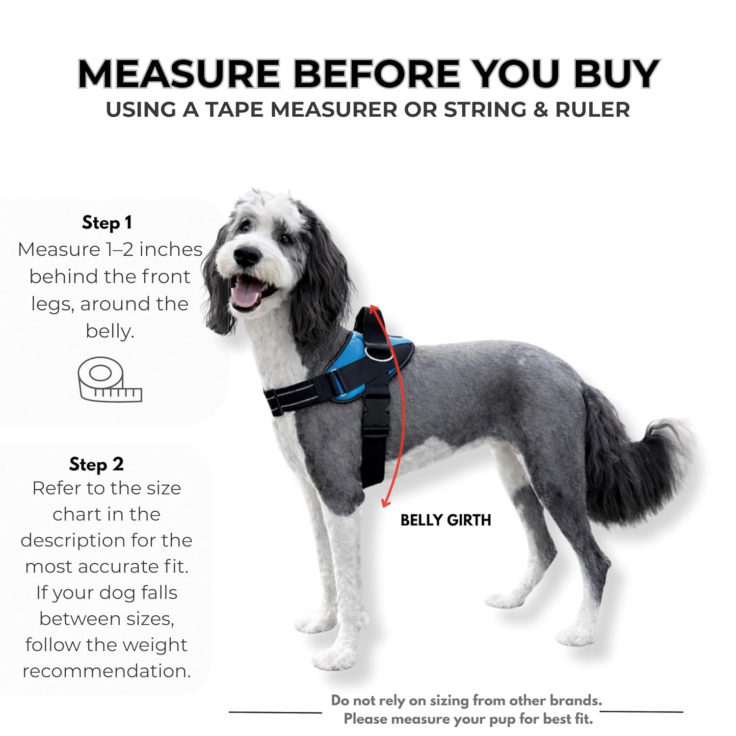 SHAWNCO ShawnCo Essential Dog Harness No Pull Vest with 3 Leash Clips Adjustable Reflective Padded for Easy Walking and Training for All Dog Sizes - View 5 of 9