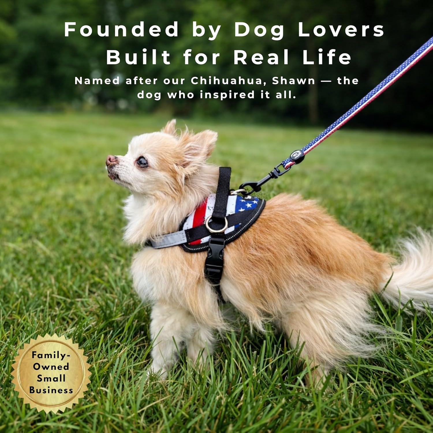 SHAWNCO ShawnCo Essential Dog Harness No Pull Vest with 3 Leash Clips Adjustable Reflective Padded for Easy Walking and Training for All Dog Sizes - View 9 of 9