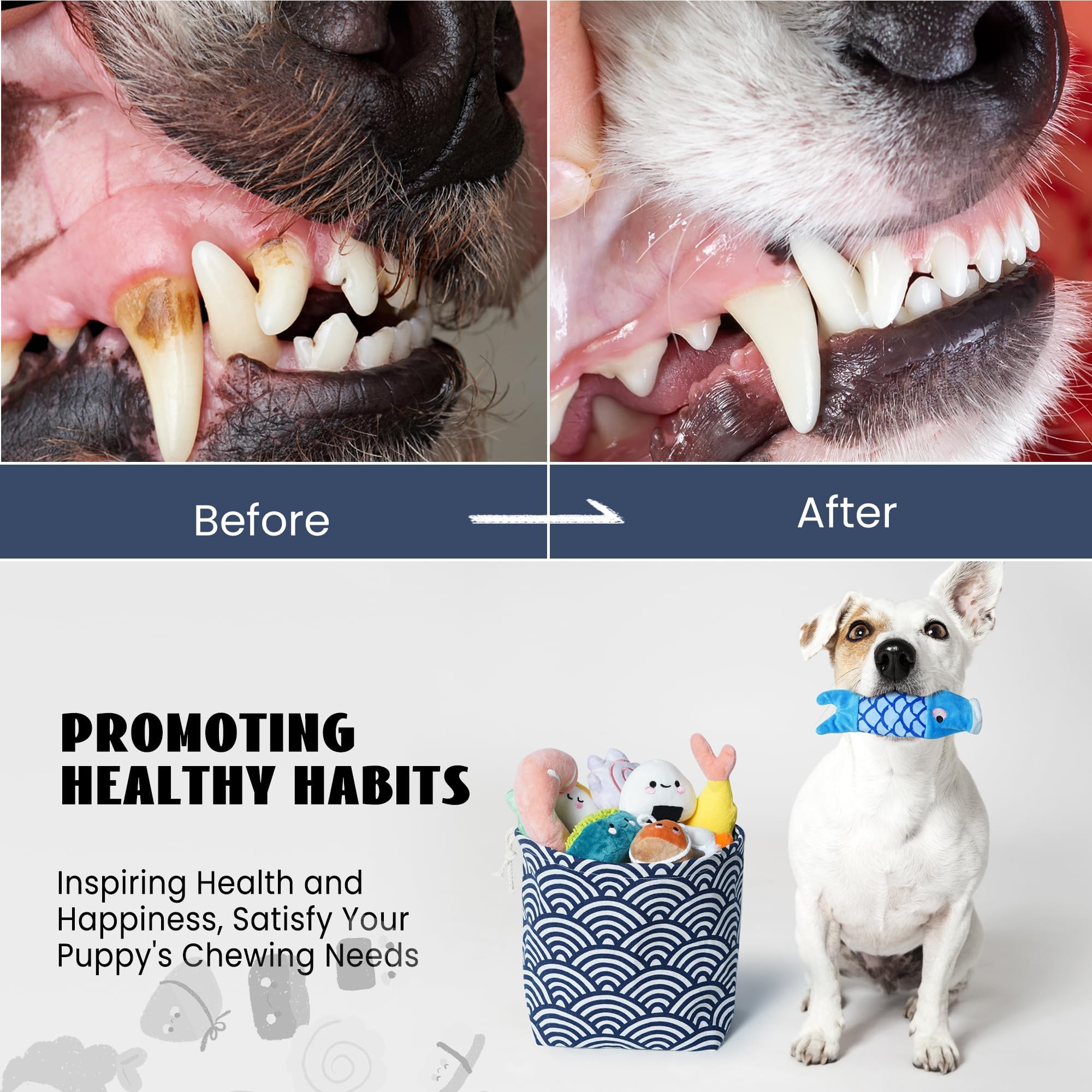 Nocciola Nocciola 10 PCS Small Dog Toys Cute Plush Squeaky Toys for Dogs Birthday Gifts Keep Them Busy Ideal for Small to Medium Dogs - View 5 of 9