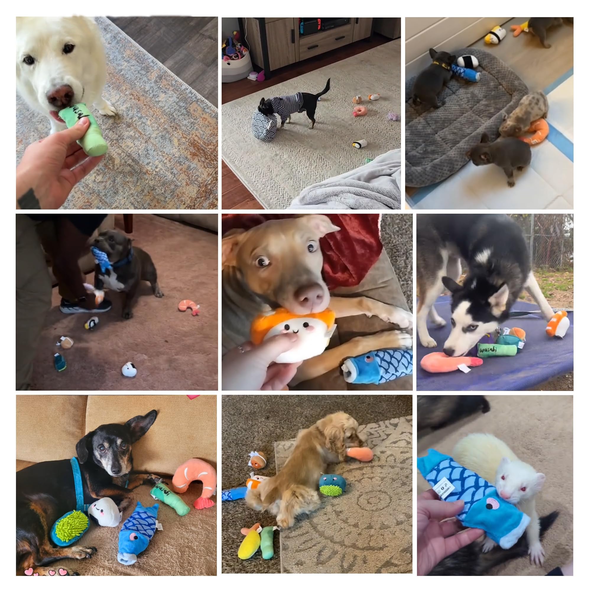 Nocciola Nocciola 10 PCS Small Dog Toys Cute Plush Squeaky Toys for Dogs Birthday Gifts Keep Them Busy Ideal for Small to Medium Dogs - View 8 of 9