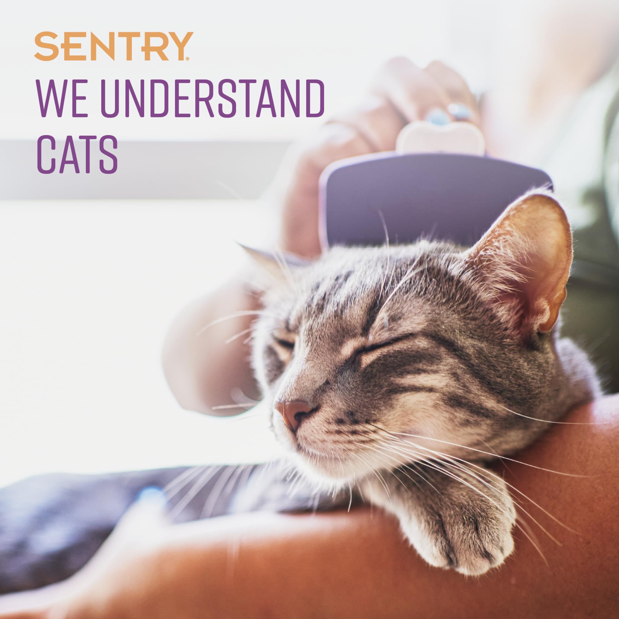 Sentry Sentry Behavior Portable Calming Diffuser for Cats Reduces Stress and Bad Behavior with Pheromones Easy to Use 30 Day Release - View 2 of 6