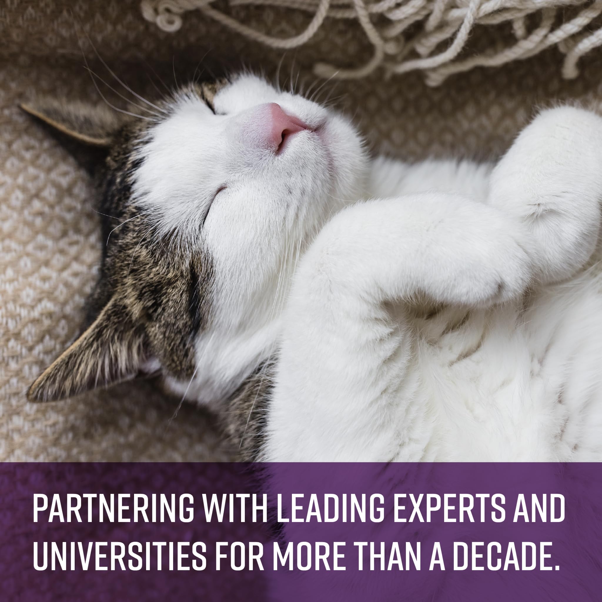 Sentry Sentry Behavior Portable Calming Diffuser for Cats Reduces Stress and Bad Behavior with Pheromones Easy to Use 30 Day Release - View 3 of 6