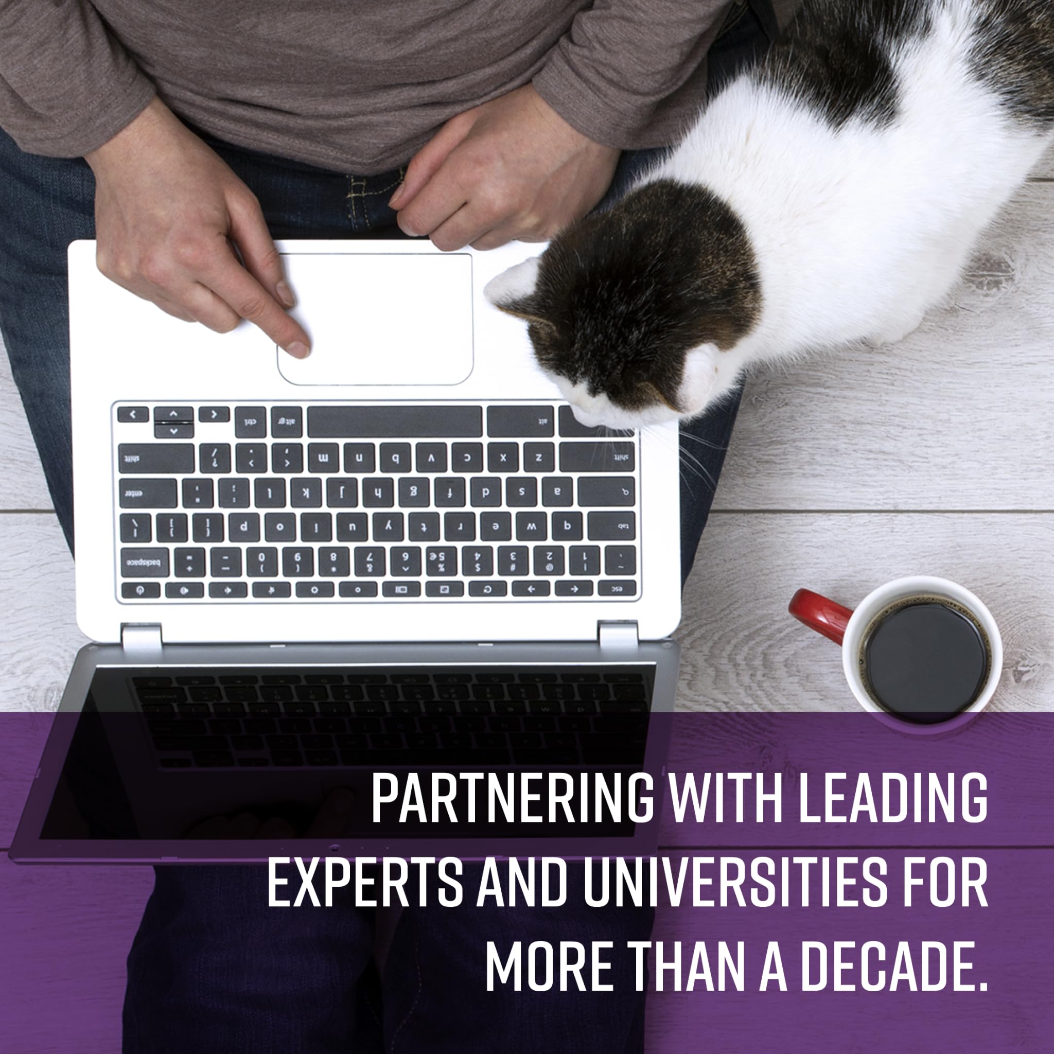 Sentry Sentry Behavior Portable Calming Diffuser for Cats Reduces Stress and Bad Behavior with Pheromones Easy to Use 30 Day Release - View 4 of 6