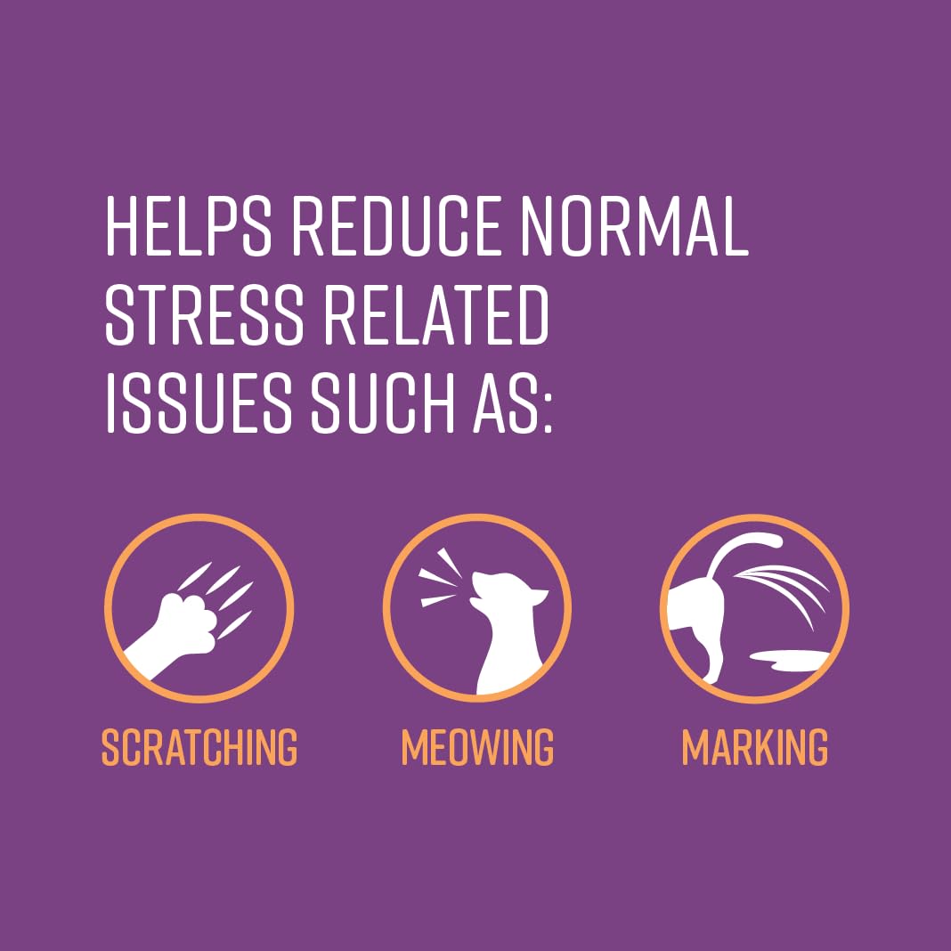 Sentry Sentry Behavior Portable Calming Diffuser for Cats Reduces Stress and Bad Behavior with Pheromones Easy to Use 30 Day Release - View 5 of 6