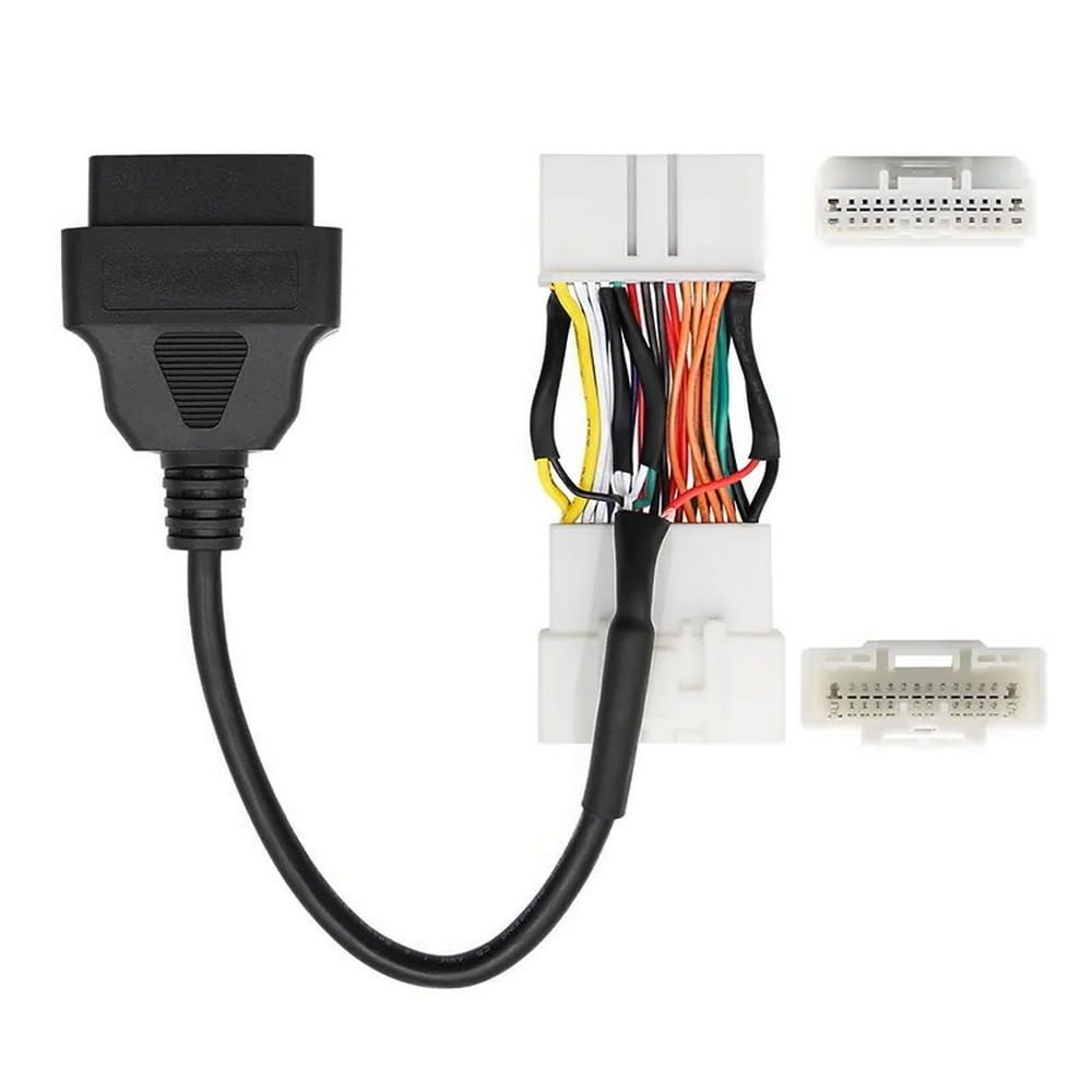 Goliton - View 2 of 5