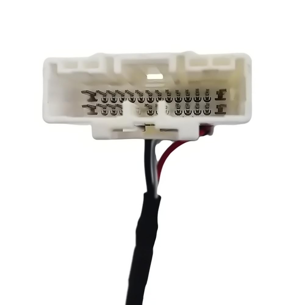 Goliton - View 3 of 5