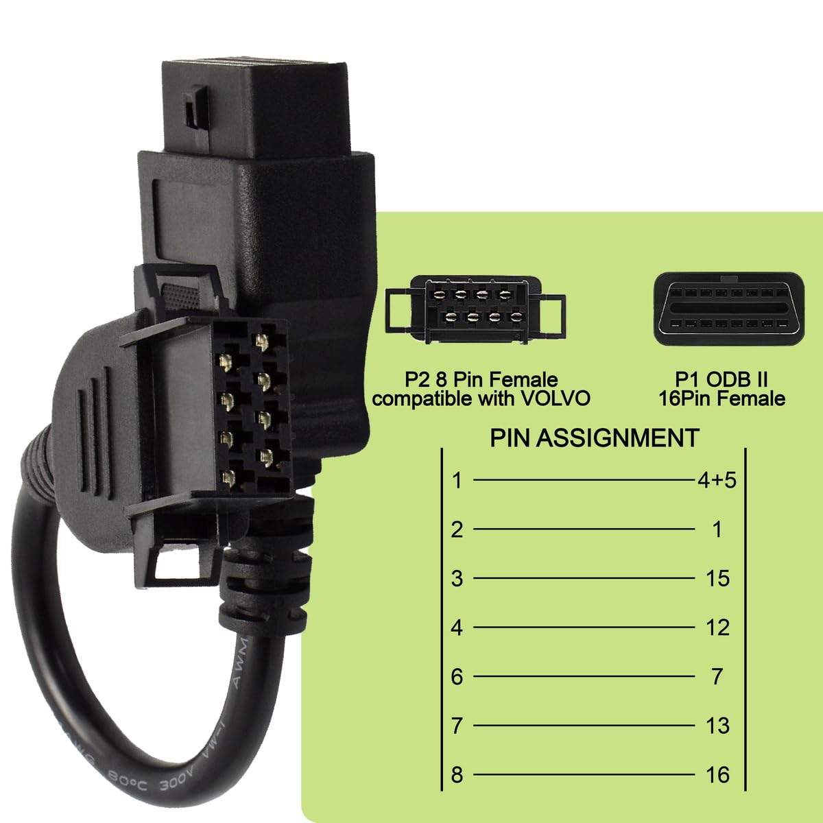 Goliton - View 4 of 6