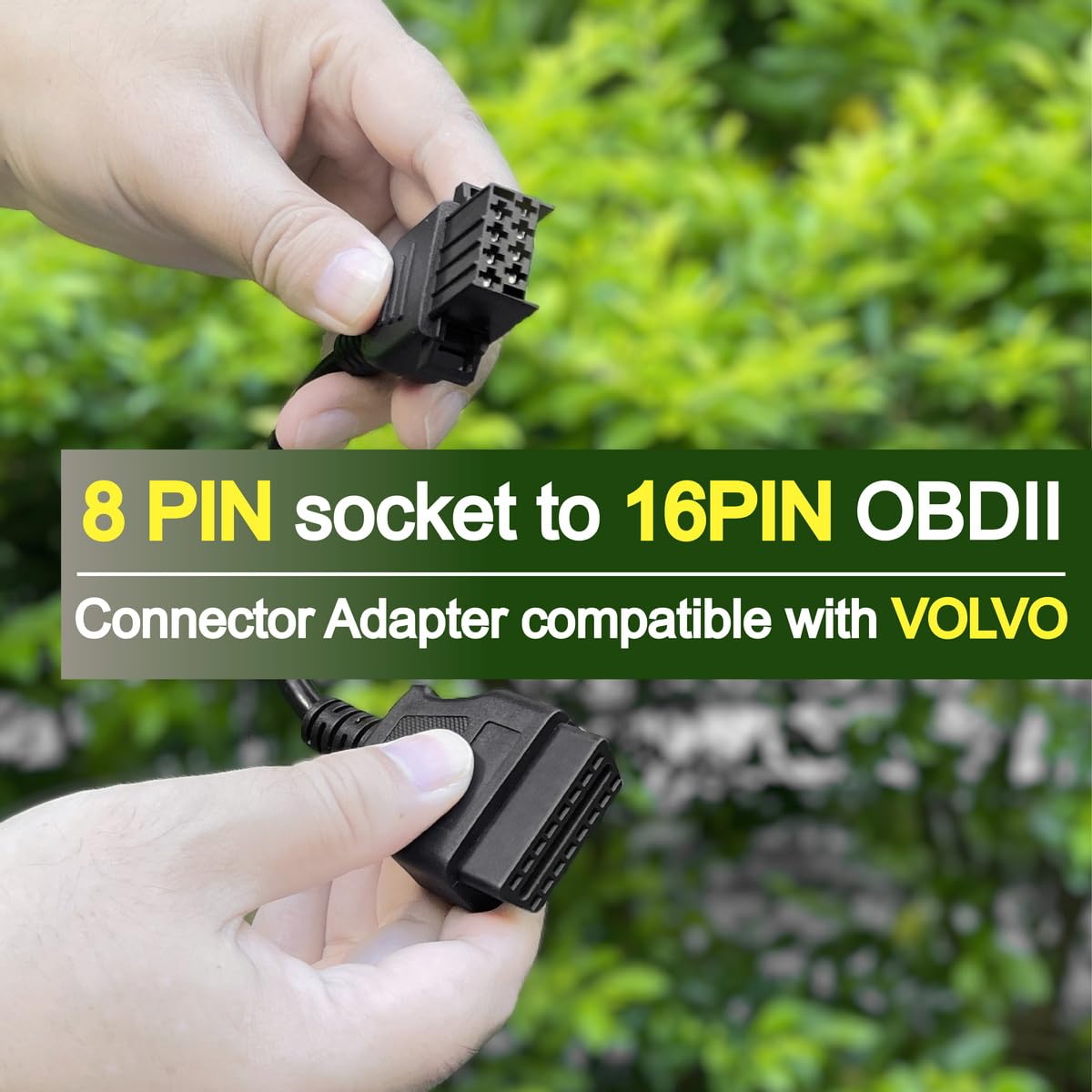 Goliton - View 5 of 6