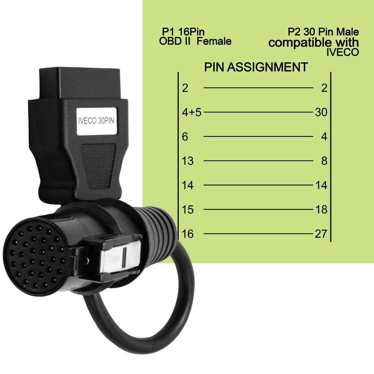 Goliton - View 4 of 6