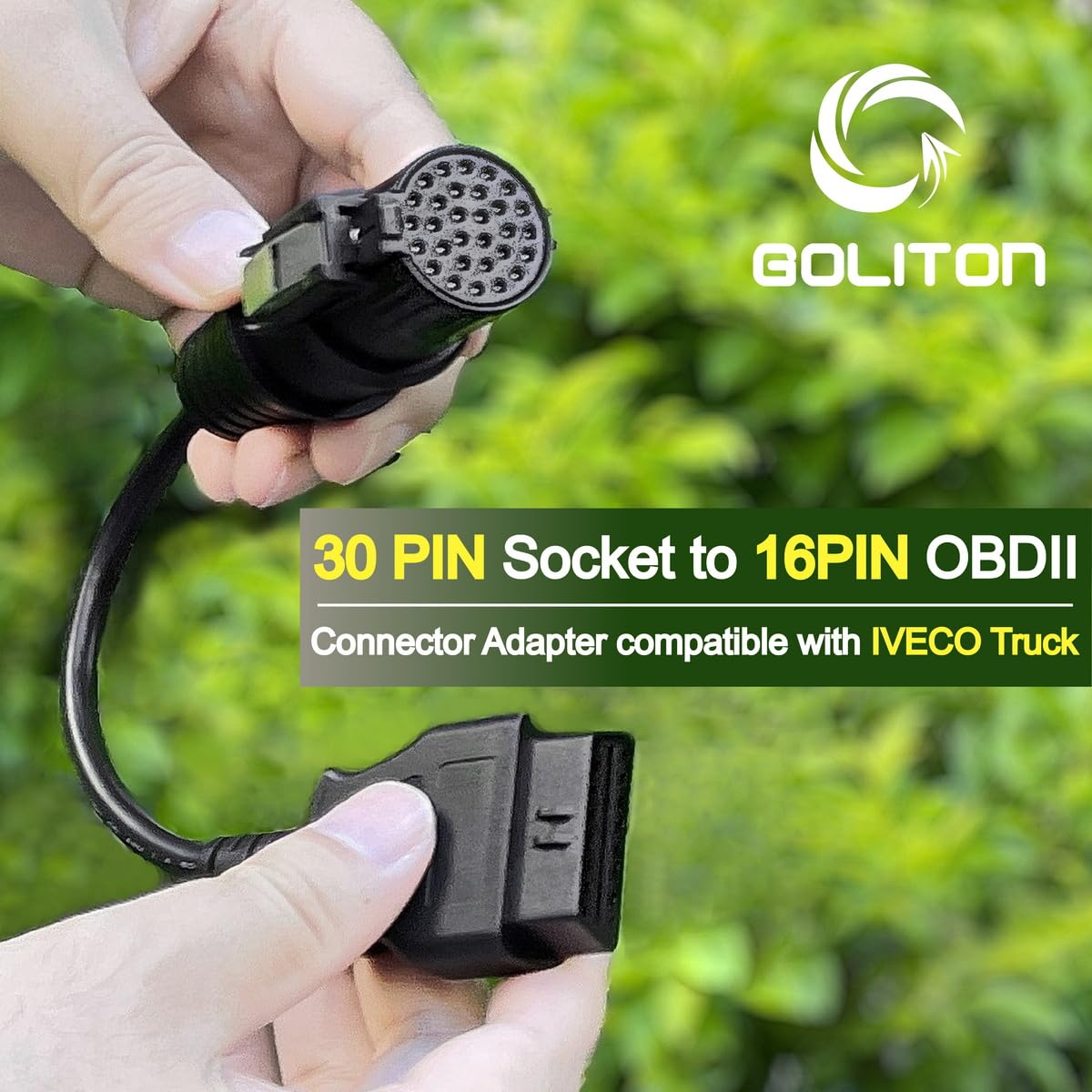 Goliton - View 5 of 6