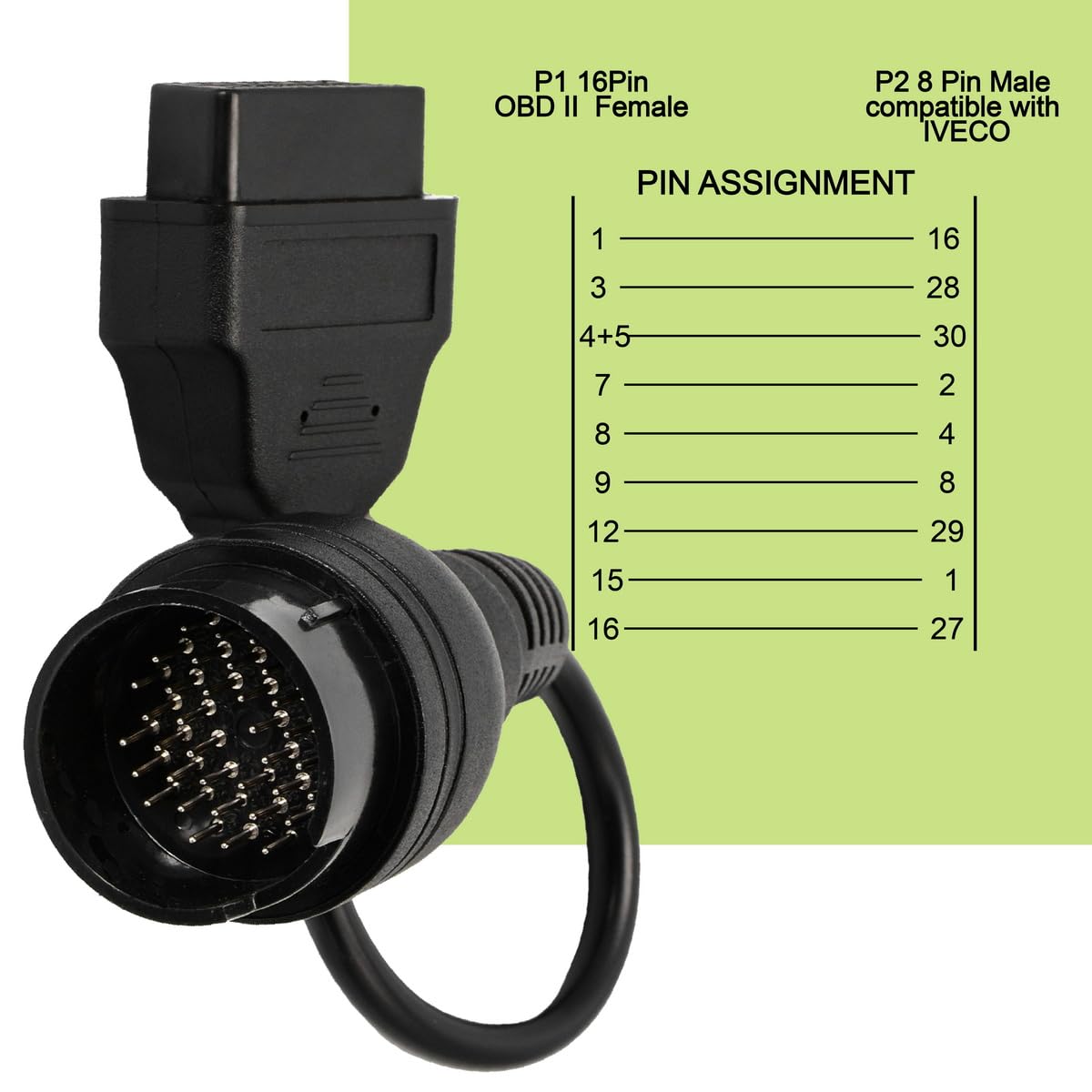 Goliton - View 4 of 6