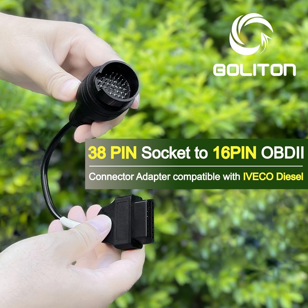 Goliton - View 5 of 6