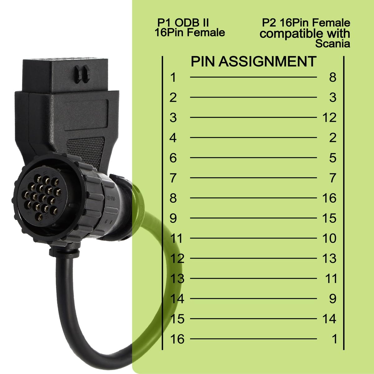 Goliton - View 4 of 6