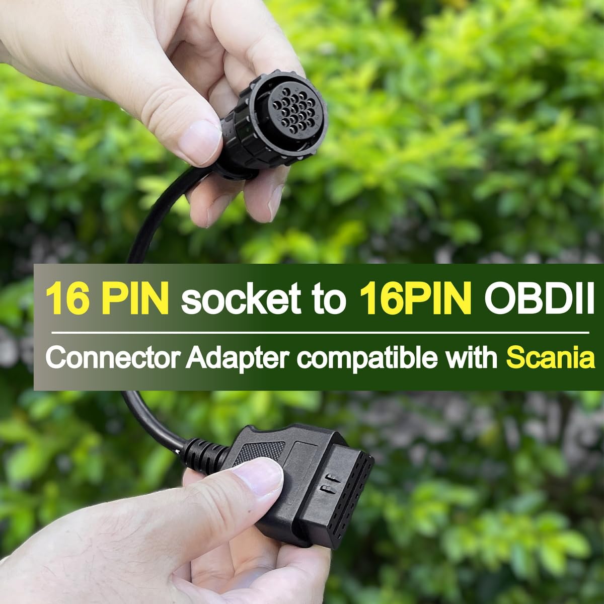 Goliton - View 5 of 6