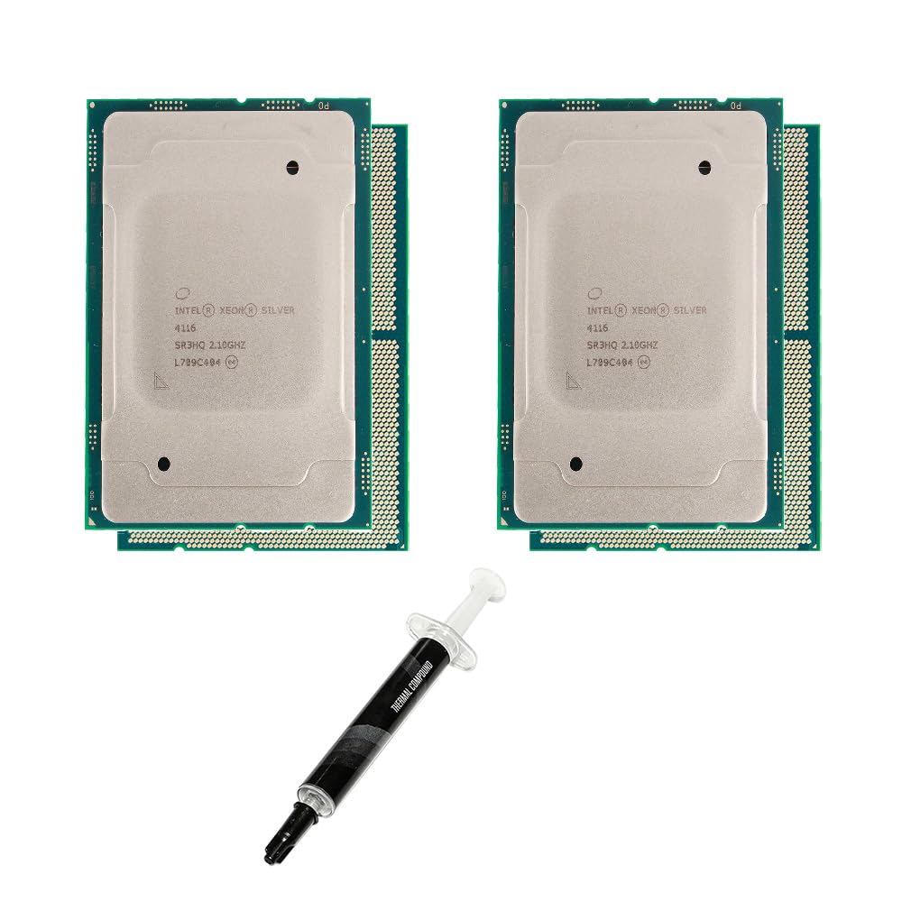 Intel Matched Pack of 2 Intel Xeon Silver 4116 12-Core Processors 2.10 GHz for PowerEdge R540 R640 R740 R740xd T440 T640