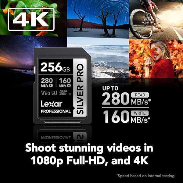 Lexar Lexar 256GB Professional SILVER PRO SDXC Card - UHS-II, 4K Video, 280MB/s Read Speed for Photographers & Videographers - View 4 of 8