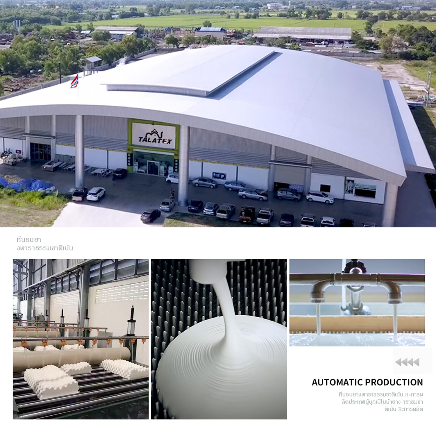 TalatexHome Talalay 100% Natural Premium Latex Pillow for Pressure Relief with Removable Tencel Cover Ideal Gift No Memory Foam Chemicals - View 6 of 7