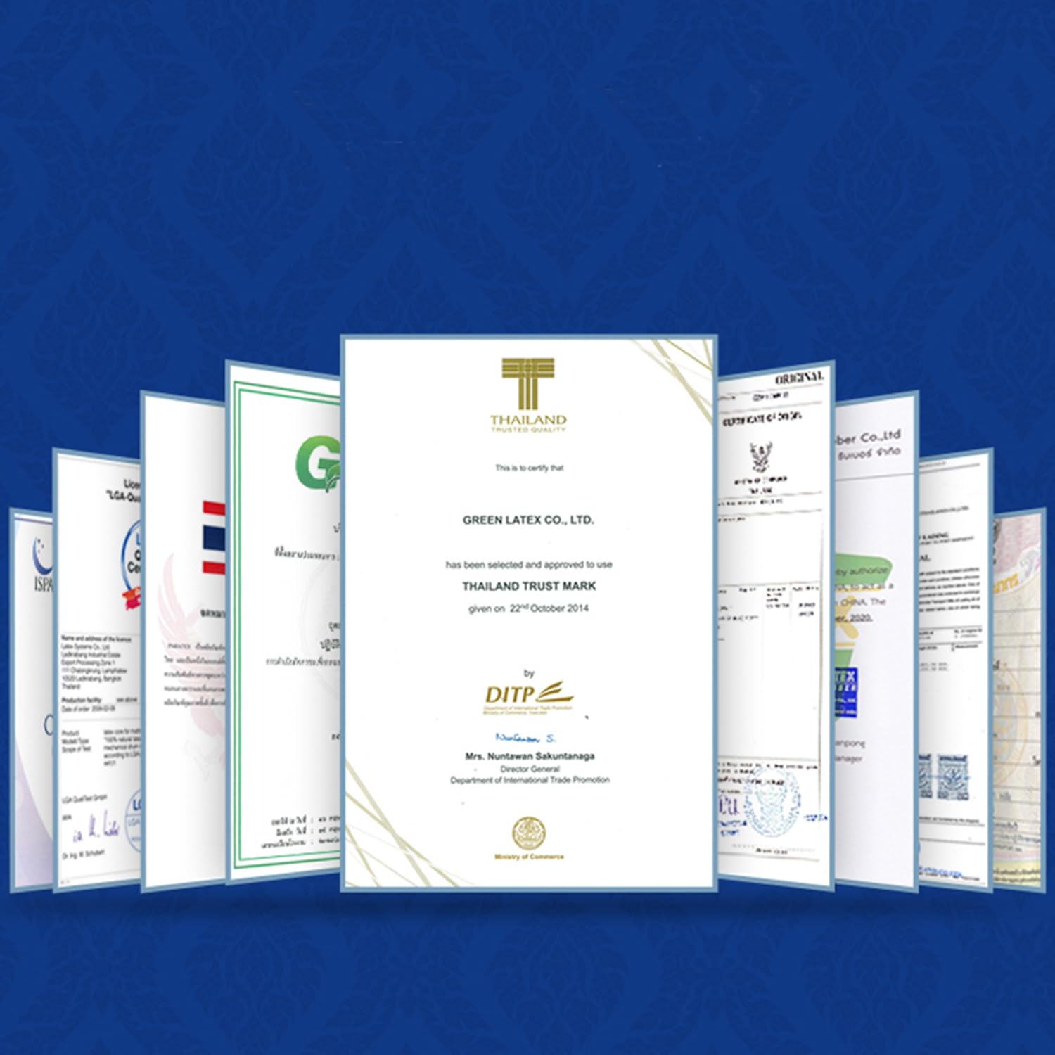 TalatexHome Talalay 100% Natural Premium Latex Pillow for Pressure Relief with Removable Tencel Cover Ideal Gift No Memory Foam Chemicals - View 7 of 7