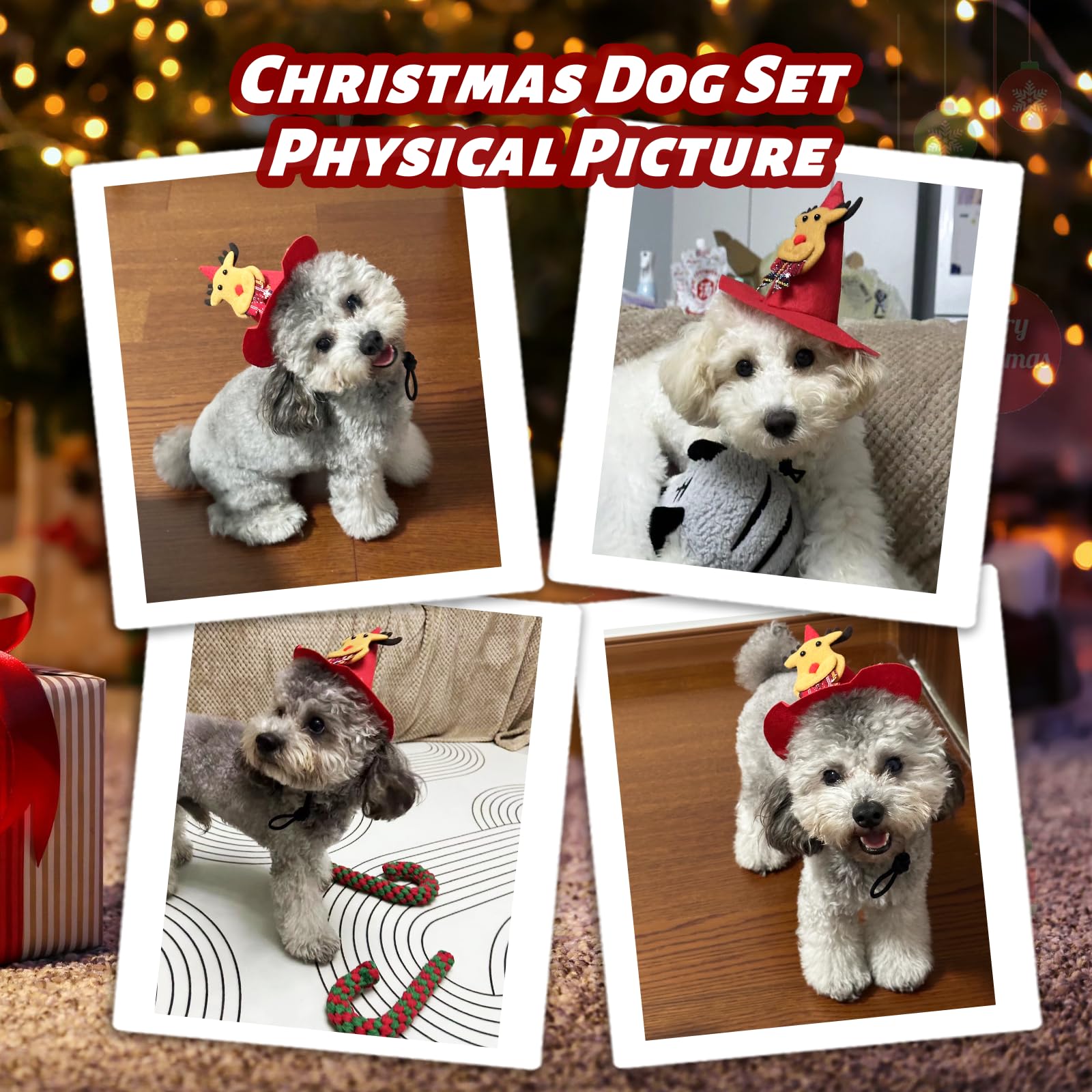 DARDOHIA DARDOHIA Christmas Dog Toys 8 Pack for Small and Medium Dogs Includes Hat Bandana Stocking Rope and Squeaker Chew Toys for Teething - View 2 of 7